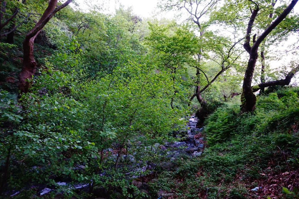 فندق ثيرمافي  Galini المظهر الخارجي الصورة