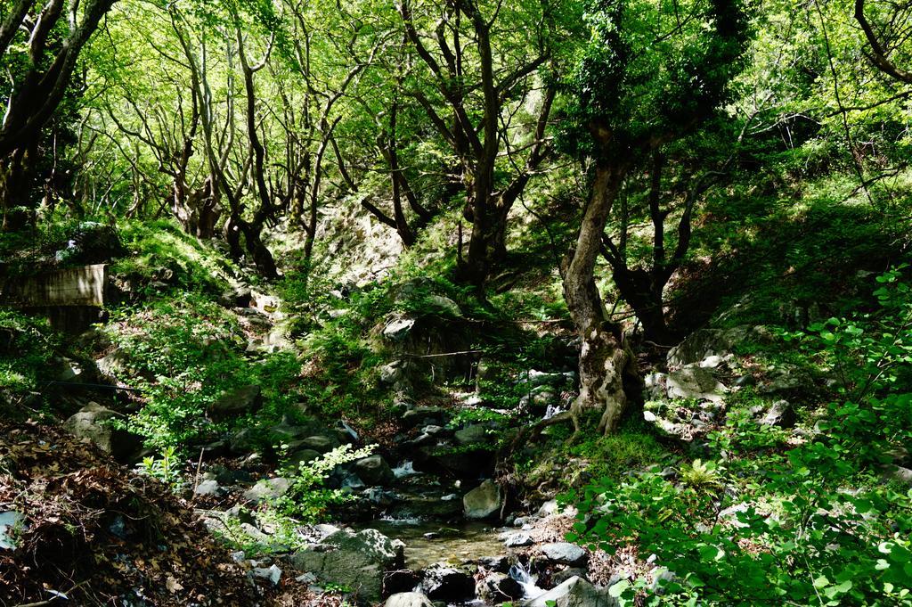 فندق ثيرمافي  Galini المظهر الخارجي الصورة