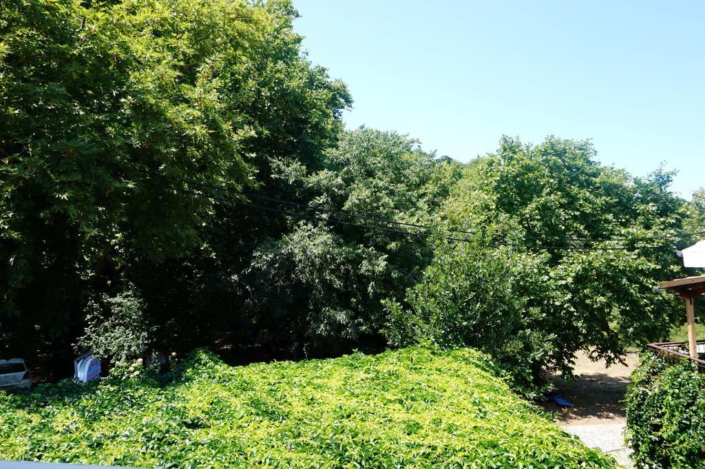 فندق ثيرمافي  Galini المظهر الخارجي الصورة